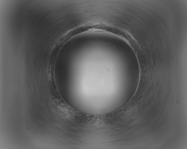 X0000073831016200608170935