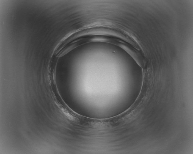 X0000073831018200608170935