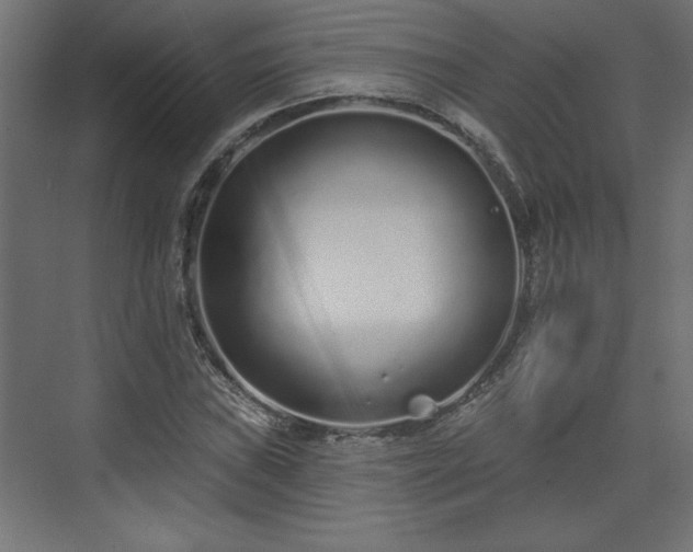 X0000073831019200608170935