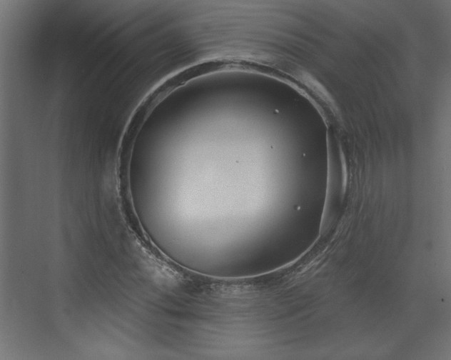 X0000073831020200608170935