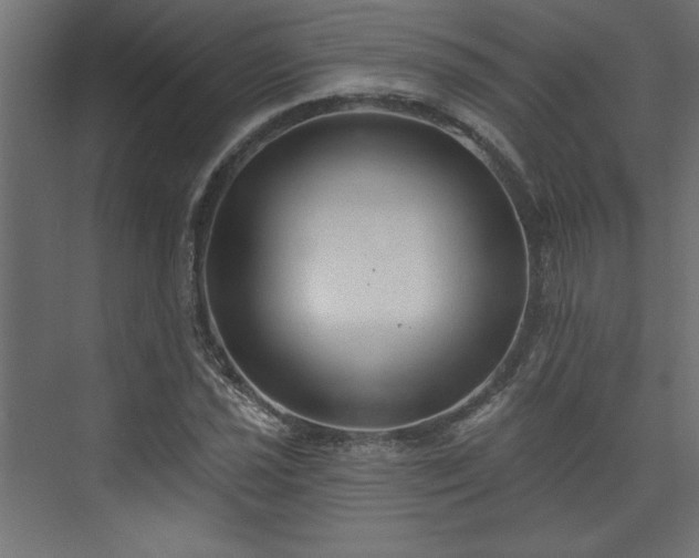 X0000073831021200608170935