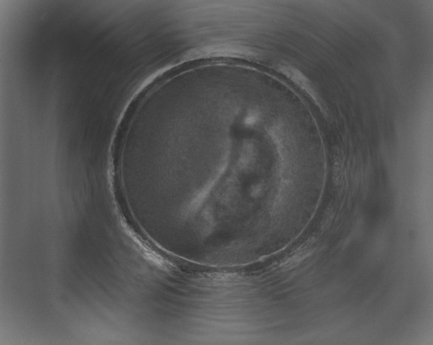 X0000073831024200608170935