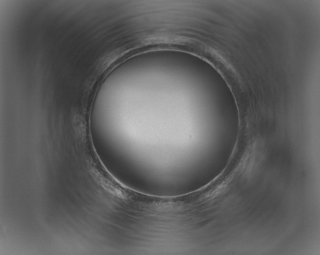 X0000073831025200608170935