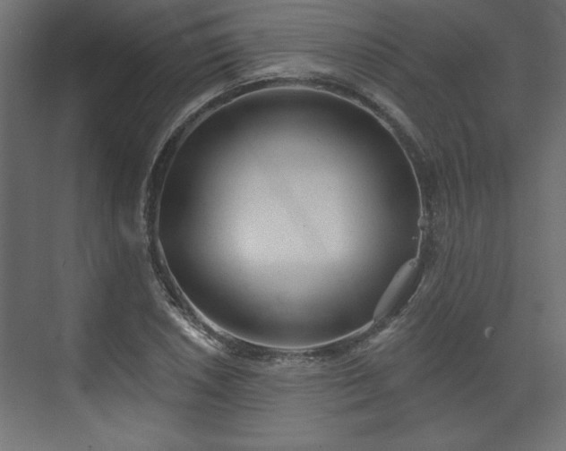 X0000073831026200608170935