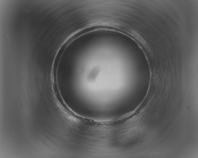 X0000073831028200608170935