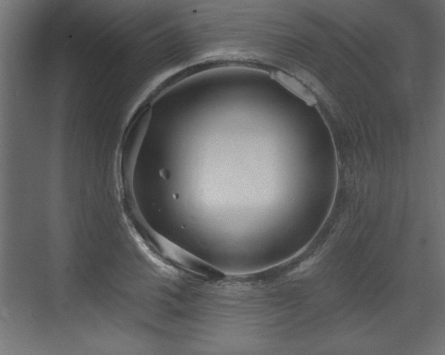 X0000073831030200608170935