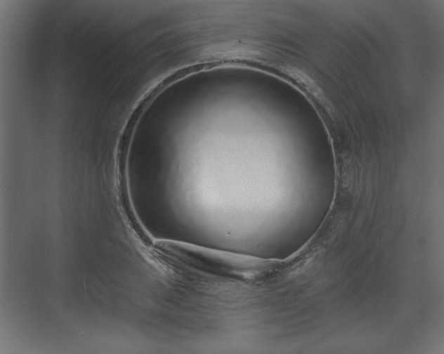 X0000073831031200608170936