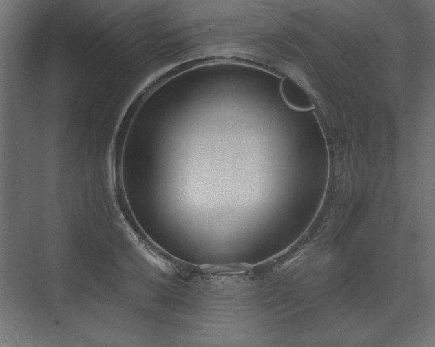 X0000073831032200608170936