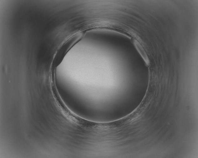 X0000073831034200608170936