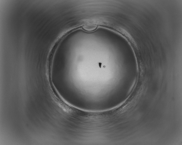 X0000073831035200608170936