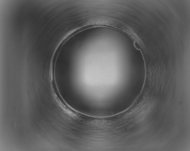 X0000073831036200608170936