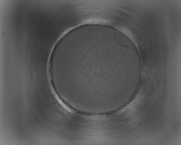 X0000073831037200608170936