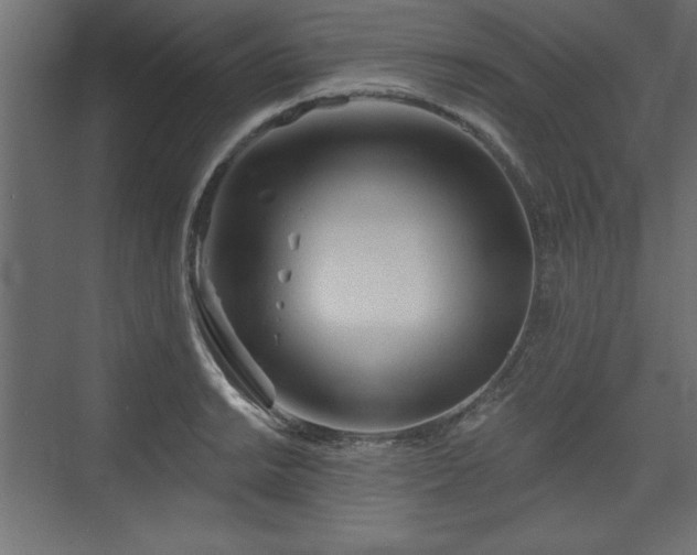 X0000073831038200608170936