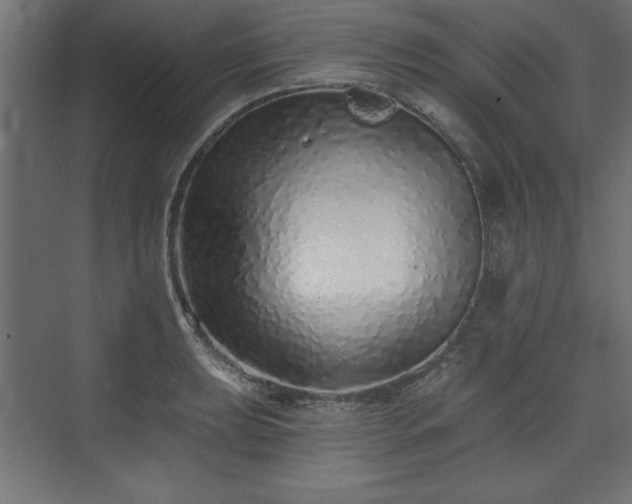 X0000073831039200608170936