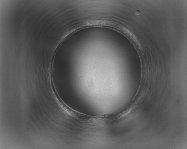 X0000073831041200608170936