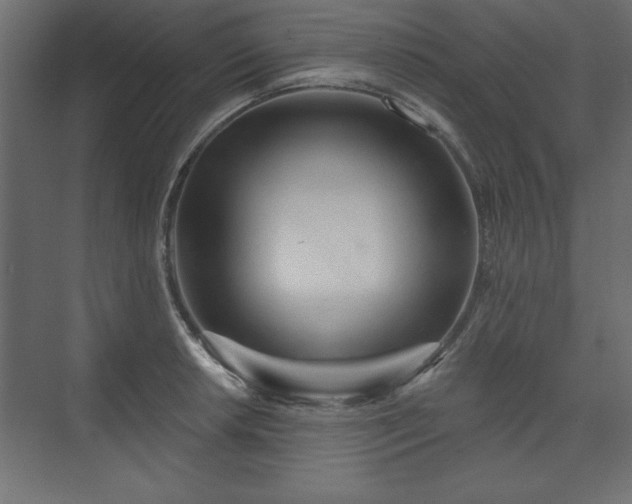 X0000073831042200608170936