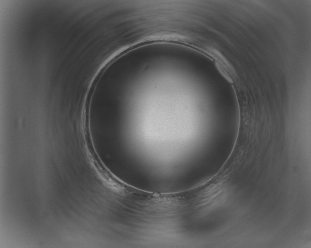 X0000073831044200608170936