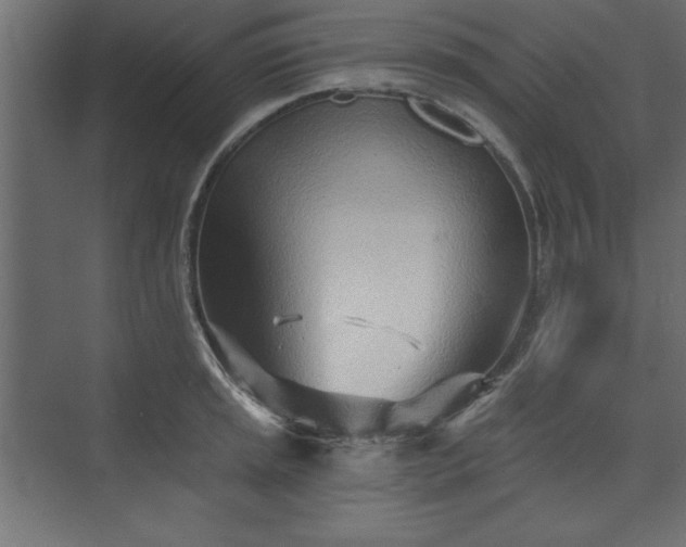 X0000073831045200608170936