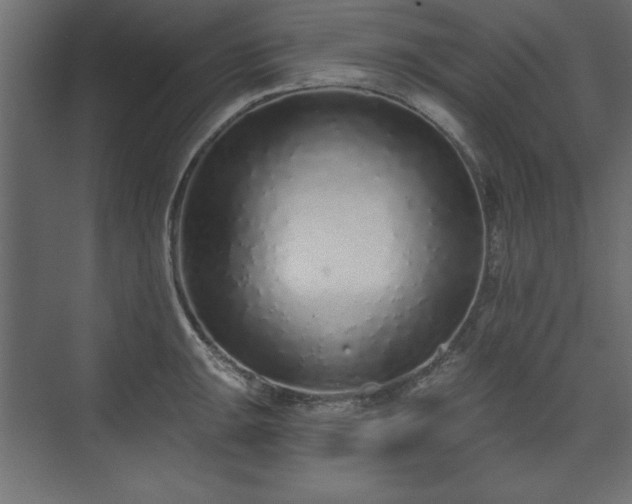 X0000073831047200608170936