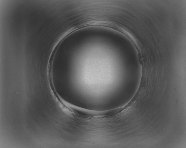 X0000073831050200608170936