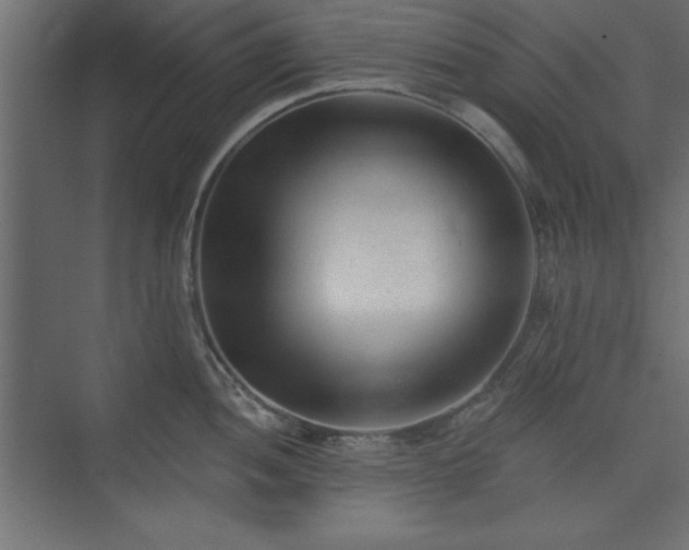 X0000073831052200608170936