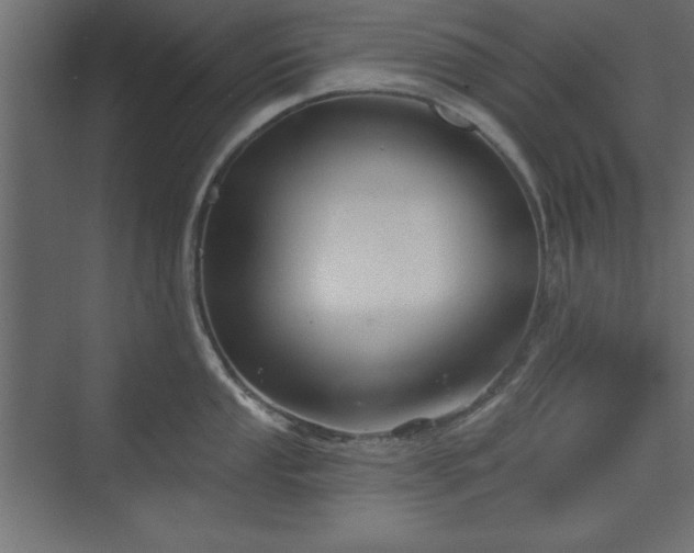 X0000073831053200608170936