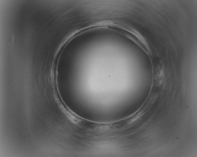 X0000073831054200608170936