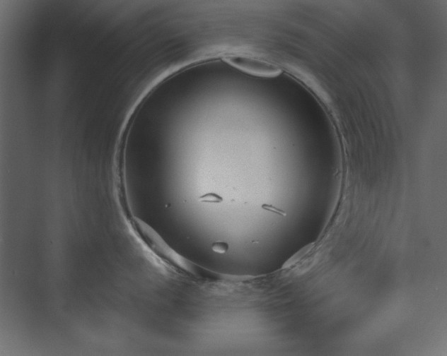 X0000073831056200608170936