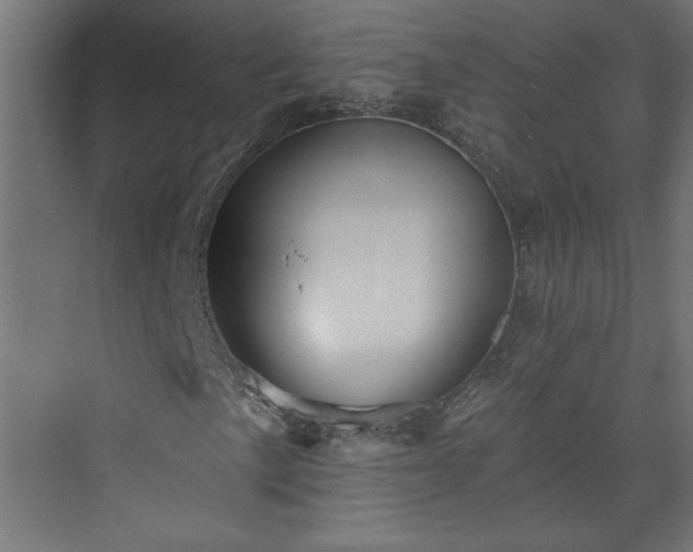 X0000073831057200608170935