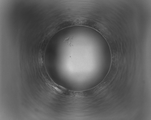 X0000073831058200608170935