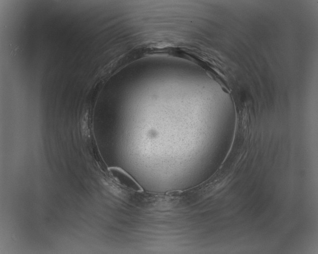 X0000073831060200608170935