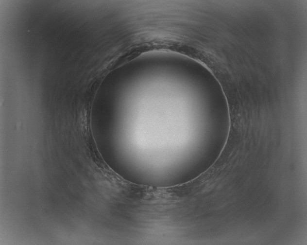 X0000073831061200608170935