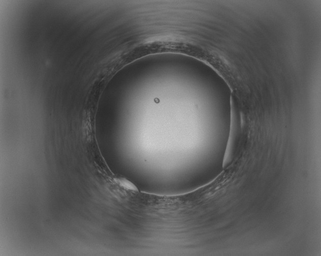 X0000073831062200608170935