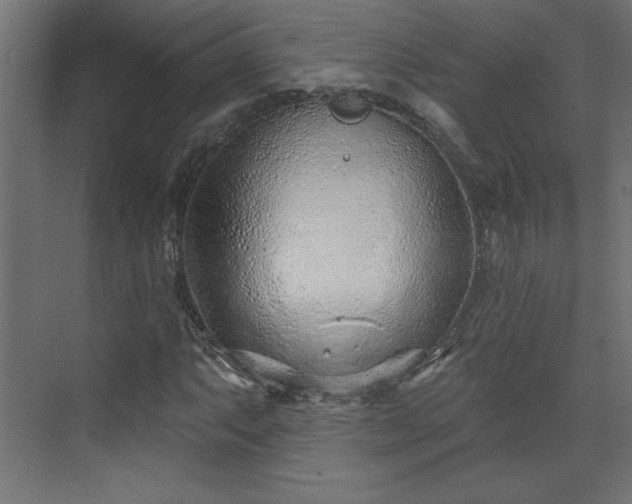 X0000073831063200608170935