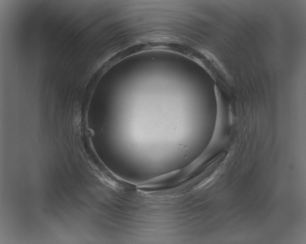 X0000073831065200608170935