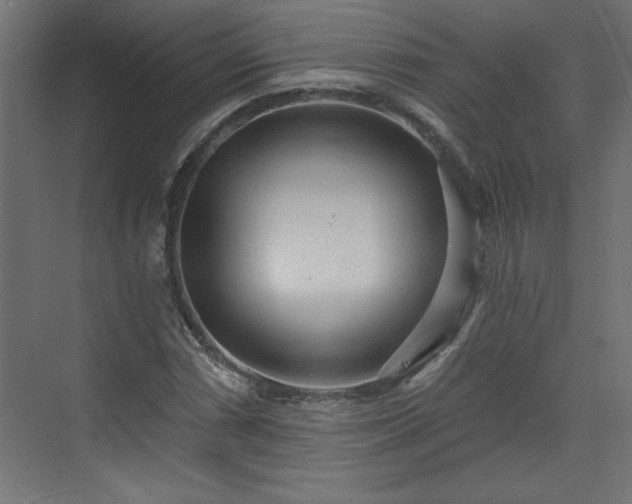 X0000073831066200608170935