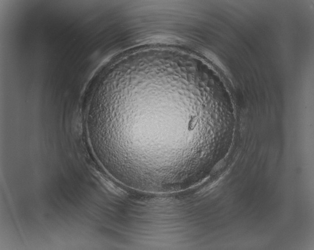 X0000073831067200608170935