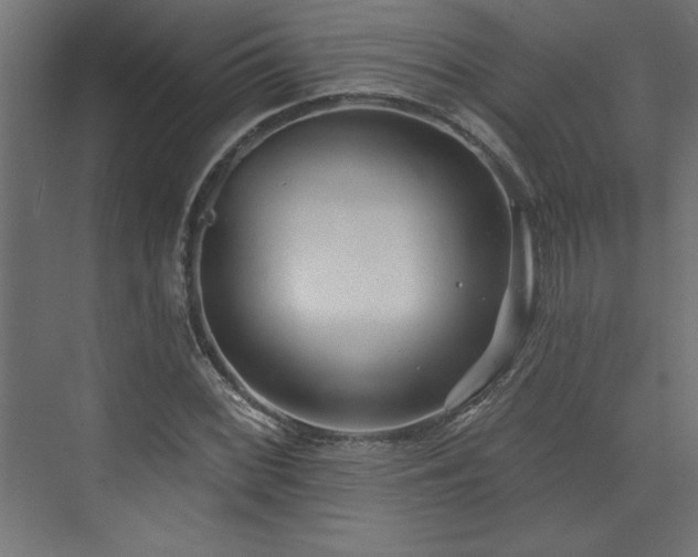 X0000073831068200608170935