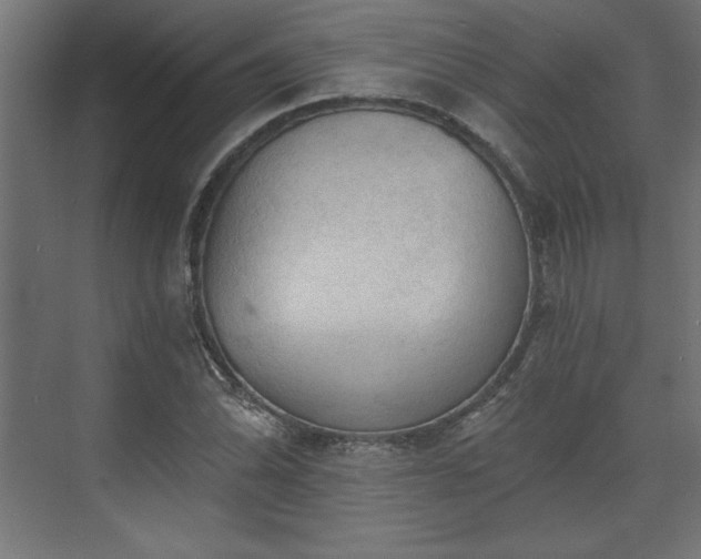 X0000073831070200608170935