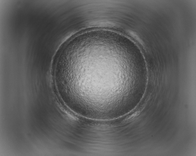 X0000073831071200608170935