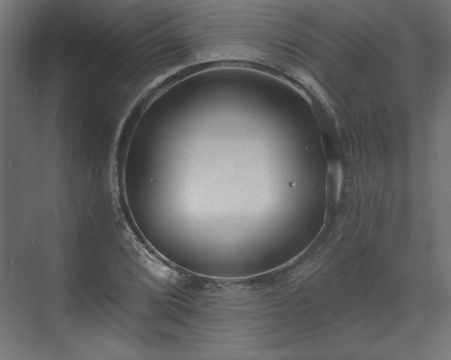 X0000073831072200608170935