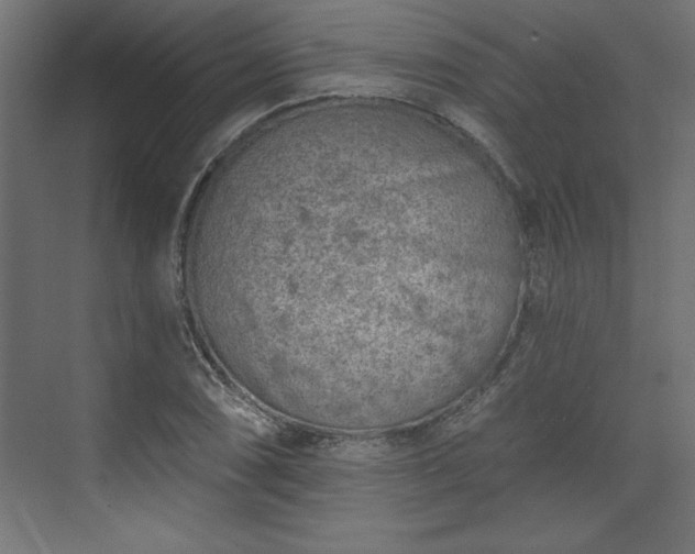 X0000073831074200608170935