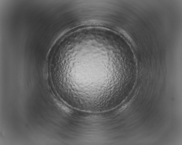 X0000073831075200608170935