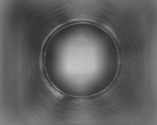 X0000073831076200608170935