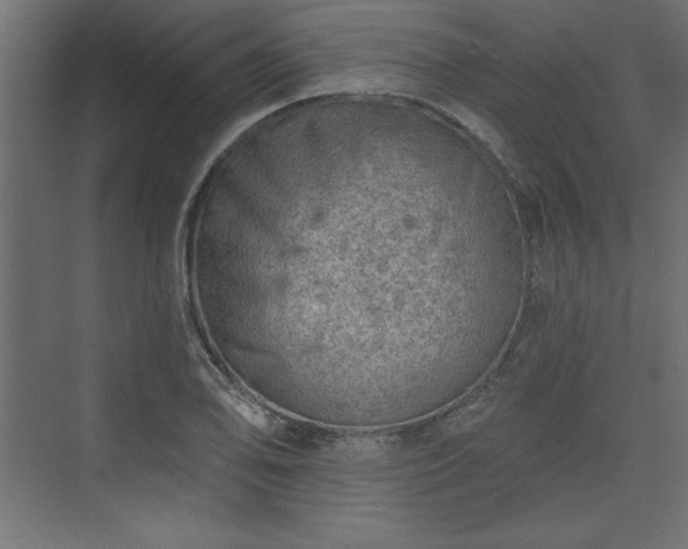 X0000073831078200608170935