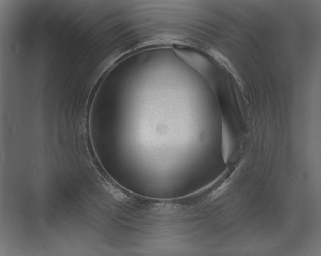 X0000073831081200608170935