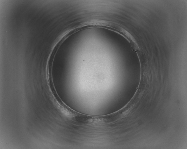 X0000073831082200608170935