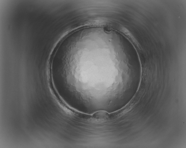 X0000073831083200608170935