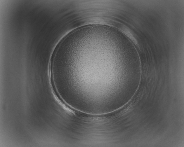 X0000073831084200608170935