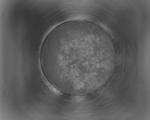 X0000073831086200608170935